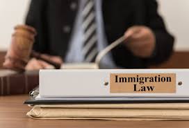 Jul 08, 2021 · the e2 visa is a great option for investors and entrepreneurs. Immigrants Guide To Finding Free Or Low Cost Legal Services New York Daily News