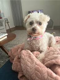 Meet Marlee... the love of my life!