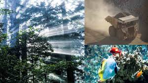 Keunggulan dan keterbatasan antarruang pengaruhnya terhadap kegiatan ekonomi, sosial, budaya a. Rpp Ips Keunggulan Dan Keterbatasan Antarruang Serta Peran Pelaku Ekonomi Kelas 8