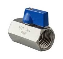 Ball Valve | FNPT 1/2 in. Inline - SS304 / PTFE