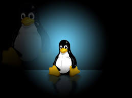 Image result for linux penguin wallpaper