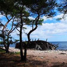 Check spelling or type a new query. Desert Island 100 Pics Answers