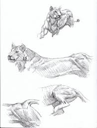 Sabertooth Diaries 3 Big Cat Action Sketches Animal Sketches Animal Drawings Animal Drawings Sketches