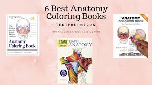 Read 61 reviews from the world's largest community for readers. The 9 Best Anatomy Coloring Books 2021 Reviews