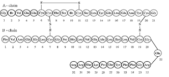 Soliqua Injection Insulin Glargine And Lixisenatide Drug