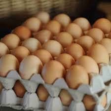 Free for commercial use no attribution required high quality images. Telur Ayam Ras Horen 1kg Shopee Indonesia