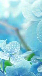 duvar kagitlari おしゃれまとめの人気アイデア pinterest elif irem yavuz 花 壁紙 おしゃれな壁紙背景 花 青