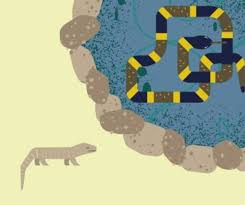 Aku akan mengajak kalian semua pulang dengan menaiki kano terbangku. Contoh Soal Dongeng Binatang Bahasa Indonesia Sd