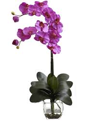 You can find either a small bouquet or a large bouquet of artificial flowers already with or without vases. Buy Purple Phalaenopsis Orchid In Philippine Orchids Plants Delivery Philippines