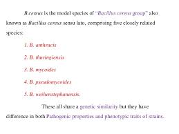 Bacillus Cereus Contamination In Food