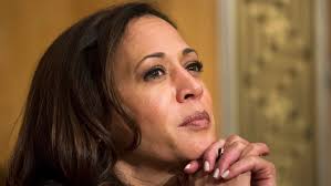 Major Dem donor says he won't support Kamala Harris: 'Good luck'