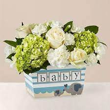 Check spelling or type a new query. New Baby Flowers Deliver Flowers For New Baby Proflowers