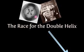 Watson and francis crick, molecular structure of nucleic acids: The Race For The Double Helix By Nicole Warren
