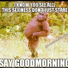 Mornings Funny Good Morning Memes Morning Quotes Funny Funny Good Morning Quotes
