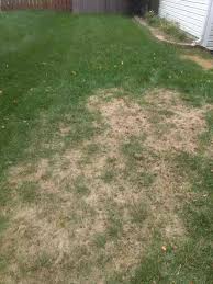 We did not find results for: Pure Prairie Organics Home Facebook
