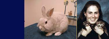 What's more is that texas avian & exotic hospital is part of a much. Northwest Exotic Pet Vet Home