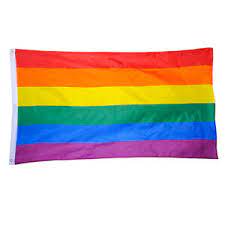 Riesen auswahl an neusten und trendigen produkten in bester qualität. Lgbt Flagge In Sonstige Flaggen Gunstig Kaufen Ebay