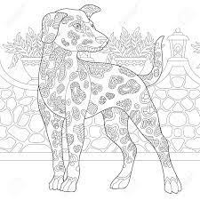 Adult dog coloring pages dog for adults realistic printable 2020 232 coloring4free. Dalmatinischer Hund Malvorlagen Malbild Malbuchidee Fur Erwachsene Freihandskizzenzeichnung Vektorillustration Lizenzfrei Nutzbare Vektorgrafiken Clip Arts Illustrationen Image 106356342