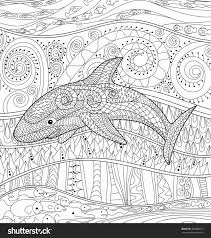 Whale Shark Coloring Page Unique 310 Best Coloring Dolphin Whale Shark Images On In 2020 Pattern Coloring Pages Shark Coloring Pages Whale Coloring Pages