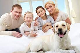 Rick ricker termite & pest control inc. Organic Pest Control Tampa Natural Pest Control Servicegreen Solutions Lpc