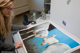 Animation, Documentary & Photography: Senior Thesis Exhibition Puts Digital  Art