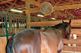 Image result for Anhidrosis