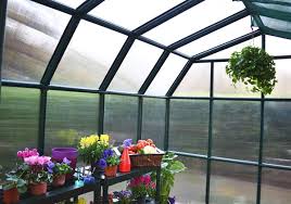 Greenhouse megastore offers many sizes, including custom cuts, so browse today! Rion Prestige Green 8 Ft X 8 Ft Plastic Polycarbonate Greenhouse 702500 Rona In 2021 Greenhouse Polycarbonate Roof Panels Greenhouse Gardening