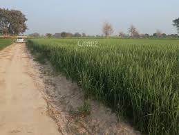 They also guarantee aftersales services and support for a smooth and comfortable transition. Lands Agricultural Bahawalpur Lands In Bahawalpur Mitula Homes