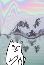 Best 49 Rip N Dip Background On Hipwallpaper Easiest Way To Strip Wallpaper Sure Strip Wallpaper Stone And Rip Wallpaper We have 75+ amazing background pictures carefully picked by our community. rip n dip background on hipwallpaper