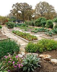 Master Gardener Patty Leander Is A Writer For Texas Gardener Magazine And Grows Vegetables Year R Indoor Vegetable Gardening Sloped Garden Sloping Garden Ideas