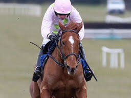 Minella times and rachael blackmore in historic win. Grand National 2021 Best Runners