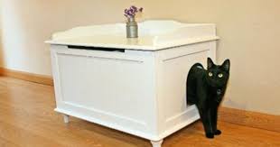 Bem Legaus Cat Toilette Caixa De Areia Gato Moveis Para Gatos Mobilia Para Gatos