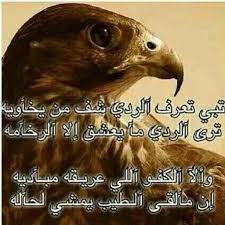 شعر عن الرجل الردي كلمات وعبارات عن الرجل الردى الحبيب للحبيب