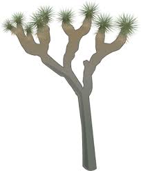You can use our images for unlimited commercial purpose without asking permission. Yucca Brevifolia Joshua Tree University Of Maryland Center For Environmental Science