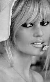 Pin by Stephanie Dirks