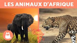 Les Animaux D Afrique 10 Animaux Sauvages De La Savane Africaine Youtube Animaux sauvages thème classique le carnaval des animaux école maternelle arts visuels activités manuelles pour enfants cours d'art zooséphine : les animaux d afrique 10 animaux sauvages de la savane africaine