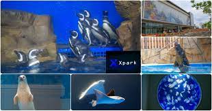 桃園景點]全台最新水族館「Xpark」實景參觀/票價場次/地圖交通/停車價格/週邊美食一次收錄