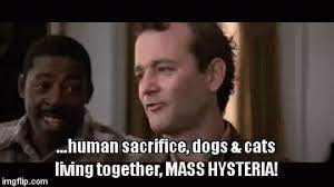 Cockroach Up On 12 Bill Murray S 10 Funniest Lines