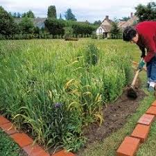9 Idees De Bordures Pour Le Jardin Bordure Jardin Jardins Bordure Pave