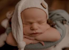 Lily Fields Photography, LLC (@lily_fields_photography) • Instagram photos  and videos