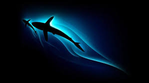 We did not find results for: Unique Design Images Wallpapers Wallpapers Hd Desktop And Mobile Backgrounds