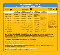 Pedigree Puppy Growth Protection Chicken Vegetable