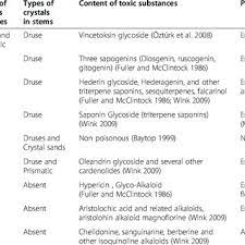 Horner ht jr, kausch ap, wagner bl. Druse Crystals In The Stem And Leaf Cross Sections Of Humulus Lupulus Download Scientific Diagram