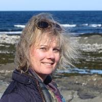 70+ "Gorman" profiles