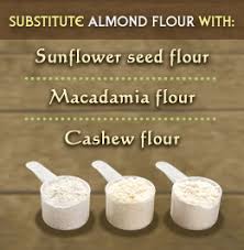 What Can You Substitute For Almond Flour