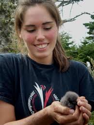 HomeAboutTeachingResearchLinks