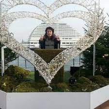 ダイソー新商品のあみつけネットで 迷子にならないカードケースをハンドメイド ダイソー 新商品 ダイソー モモンガ