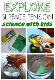 Easy Science Experiment With Kids Explore Surface Tension Science Experiments Kids Easy Science Experiments Science Experiments For Preschoolers
