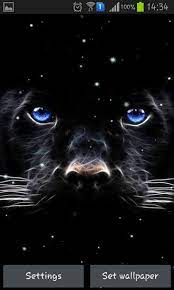 Black Panther Animal Wallpaper Elegant Black Panther Kostenlos Fur Android Herunterladen Of B Animal Wallpaper Animals Black Panther