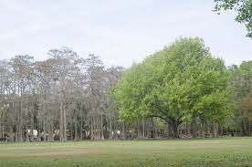 Engelwood Park Orlando Parks Park City Country Roads